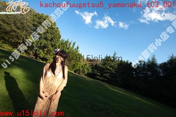 kachoufuugetsu5_yamanaka_t03